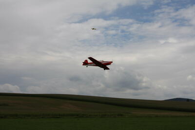 IMG 0881